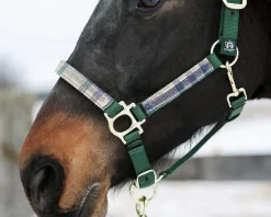 Kensington™ Premium Halter