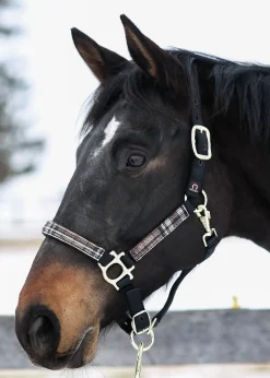 Kensington™ Premium Halter