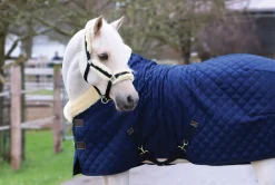Kentucky Horsewear Show Rug