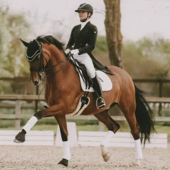 Kentucky Horsewear Wellington Big Stone & Pearl Fly Veil