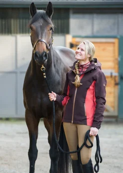 Kerrits Sit Tight WindPro® Knee-Patch Breech