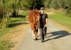 Kerrits Ladies’ Microcord Bootcut Pocket Knee-Patch Breech - Regular