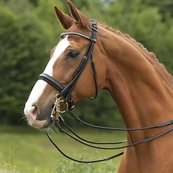 Kieffer Sylvie Double Bridle