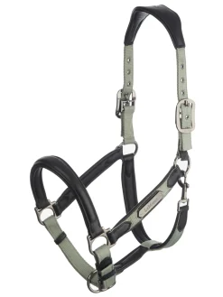 LeMieux® Capella Headcollar