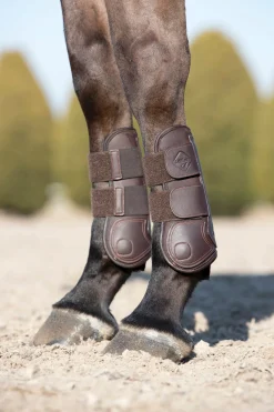 LeMieux® Capella Tendon Boots