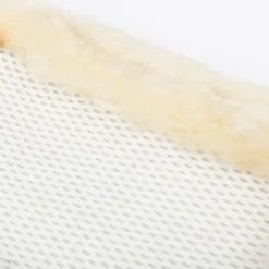 LeMieux® Fleece-Lined Mesh Brushing Boots