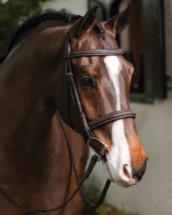 LeMieux® Hunter-Stitched Bridle