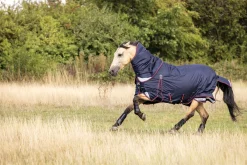 LeMieux® Kudos 100 Gram Turnout Blanket