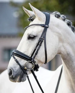 LeMieux® Kudos Dressage Flash Bridle