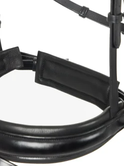 LeMieux® Kudos Dressage Flash Bridle