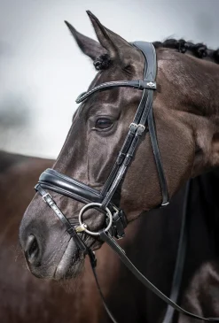 LeMieux® Kudos Dressage Flash Bridle