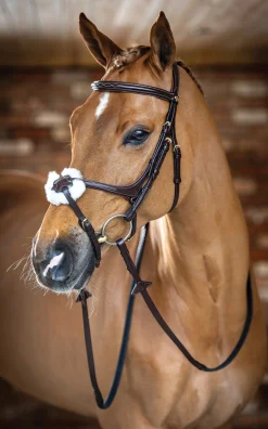 LeMieux® Kudos Figure-8 Bridle
