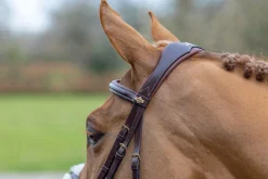 LeMieux® Kudos Figure-8 Bridle