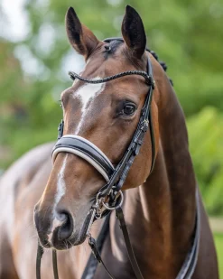 LeMieux® Kudos Patent Double Bridle