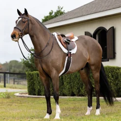 LeMieux® Merino+ Hunter Saddle Pad