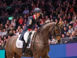 LeMieux® ProSport Cotton Dressage Square Pad