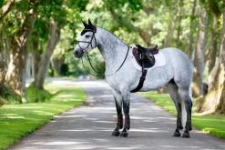 LeMieux® Suede GP Saddle Pad