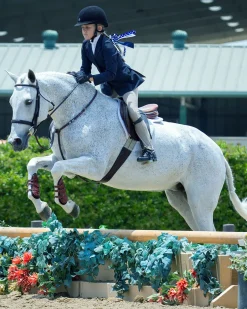 Majyk Equipe® Leather Jump Boot with Removable Impact Liners (Buckle Closure) - Pony/Cob