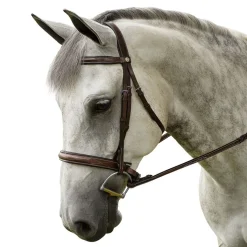 Marcel Toulouse Platinum Liza Hunter Derby Bridle