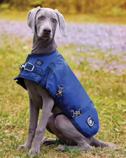 NorthWind™ Dog Turnout Blanket