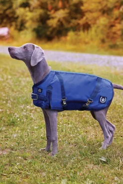 NorthWind™ Dog Turnout Blanket