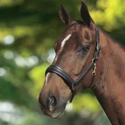 Otto Schumacher Leather Halter