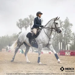 Panacur Paste Dewormer