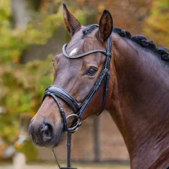 Passier® Shadow Bridle