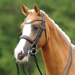 PassierBLU® Dream Double Bridle