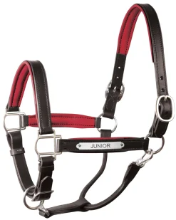 Perri’s® 1" Padded Leather Halter with Nameplate