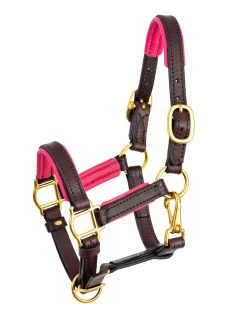 Perri’s® 3/4" Padded Leather Mini Halter