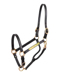 Perri’s® 3/4" Premium Leather Show Halter with Nameplate