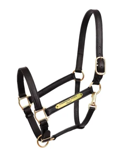 Perri’s® Draft Leather Turnout Halter