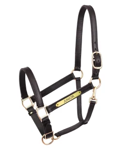 Perri’s® Draft Leather Turnout Halter