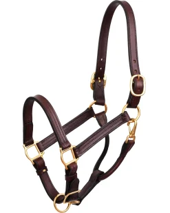 Perri’s® Horse Professional Show Halter