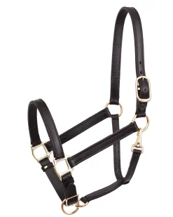 Perri’s® Leather Turnout Draft Halter