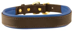 Perri’s® Padded Leather Nameplate Dog Collar