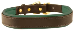 Perri’s® Padded Leather Nameplate Dog Collar