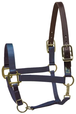 Perri’s® Premium Nylon Safety Halter with Nameplate