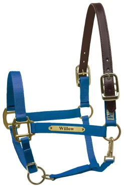 Perri’s® Premium Nylon Safety Halter with Nameplate
