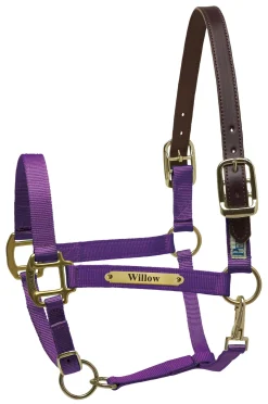 Perri’s® Premium Nylon Safety Halter with Nameplate