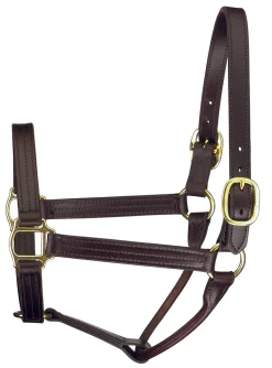Perri’s® Premium Track Style Show Halter