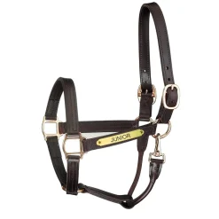 Perri’s® Premium Track Style Leather Show Halter with Snap & Nameplate