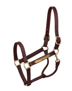 Perri’s® Professional Halter with Nameplate