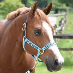 Perri’s® Ribbon Trim Breakaway Halter