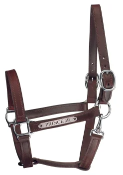 Perri’s® Track Style Leather Turnout Halter with Snap Throat and Nameplate