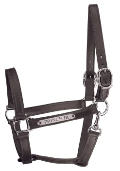 Perri’s® Track Style Leather Turnout Halter with Snap Throat and Nameplate