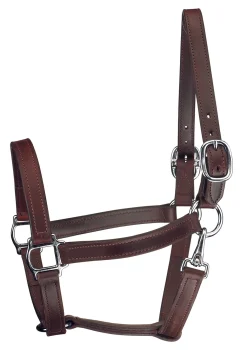 Perri’s® Track Style Turnout Halter with Snap