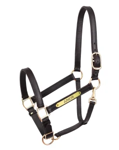 Perri’s® Yearling Leather Turnout Halter
