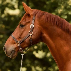 Perri’s® Twisted Leather Halter